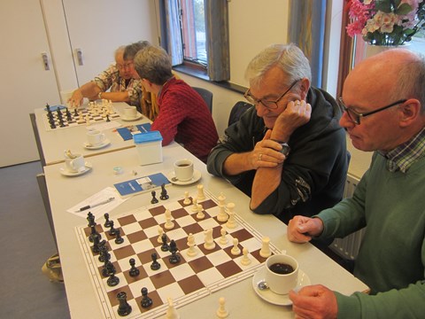 Schaakcursussen senioren in Het Bolwerk vanaf 10 januari 2018 (foto Karel van Delft)