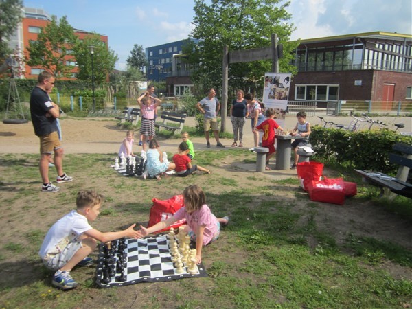 Schaakinstuif in de Vlindertuin zaterdag 1 augustus 10-12 uur