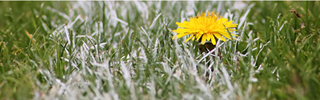 e-learning-accommodaties