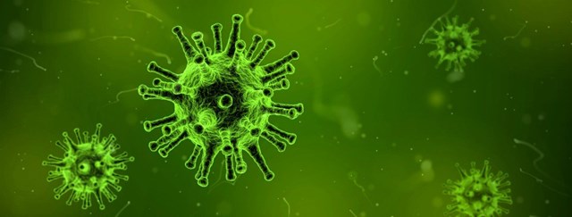 coronavirus-header