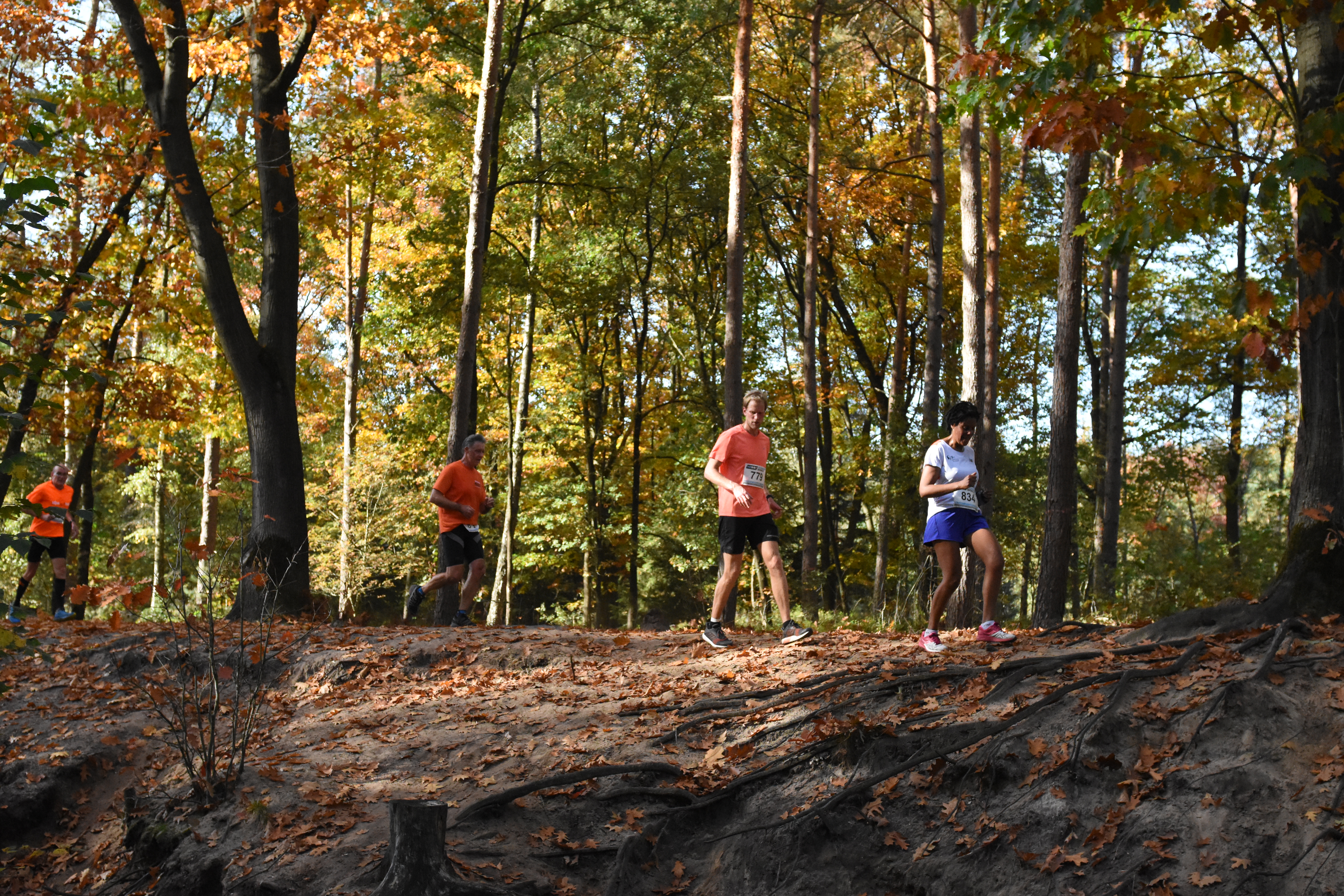 Vierde editie Isokin Orderbos Trail gaat zondag 10 oktober van start
