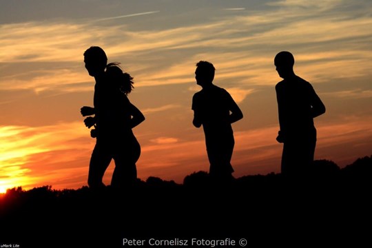 DSC_1445_2 1280x768