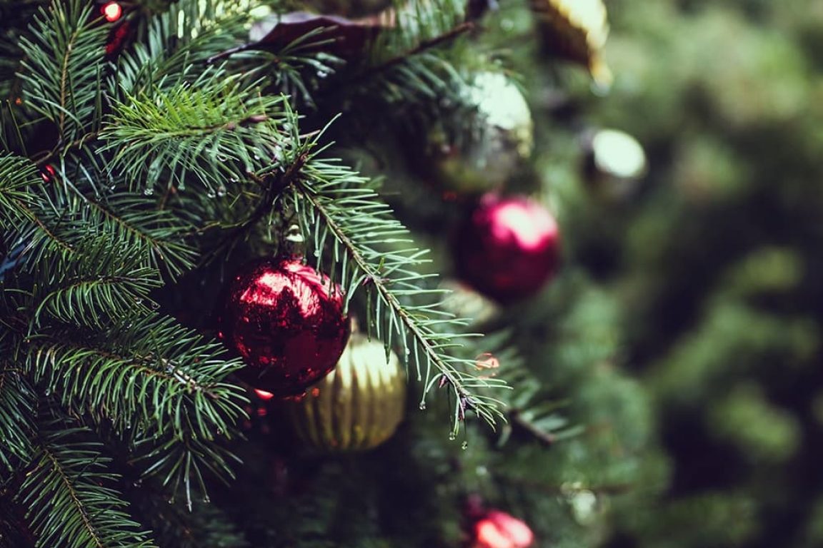 Hele fijne feestdagen en een voorspoedig 2023!