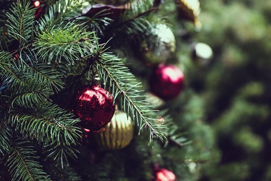 kerstboom-langer-mooi-houden-1152x0-c-default
