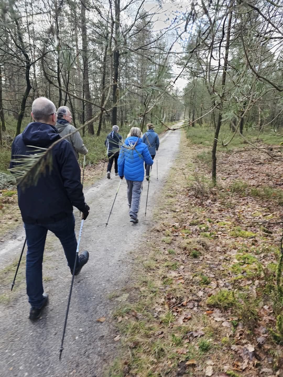 Starterscursus Nordic Walking AV'34