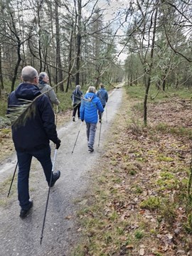 nordic walking